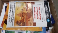 Box of vintage movie/video shop posters