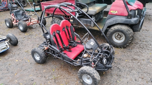 Quadzilla micro buggy
