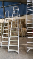 12 step alloy stepladder