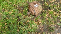 PTO gearbox