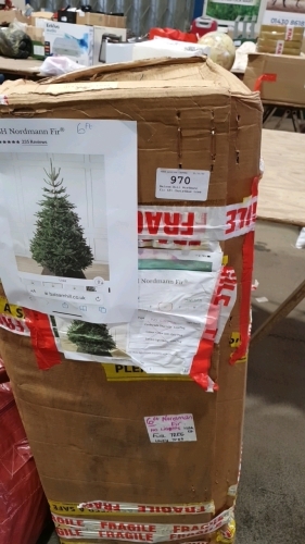 Balsom Hill Nordmann fir 6ft Christmas tree