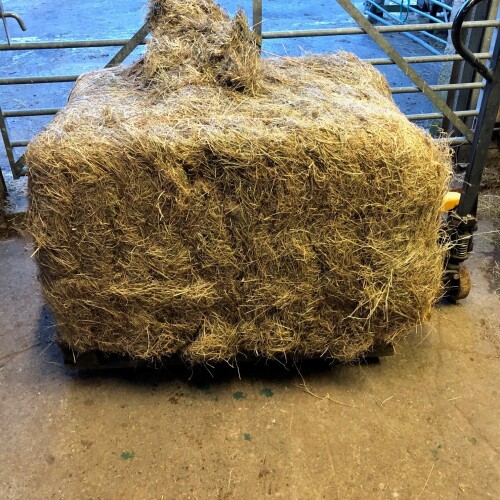 20x Mini-Heston bales of haylage, approx 4x3, suitable for horses, free delivery within 10 miles of York Auction Centre