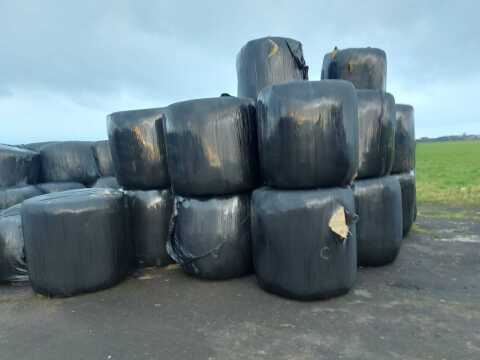 24 bales of split bag haylage, collect from Topcliffe YO7