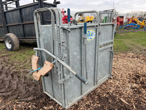 IAE Calf dehorning crate
