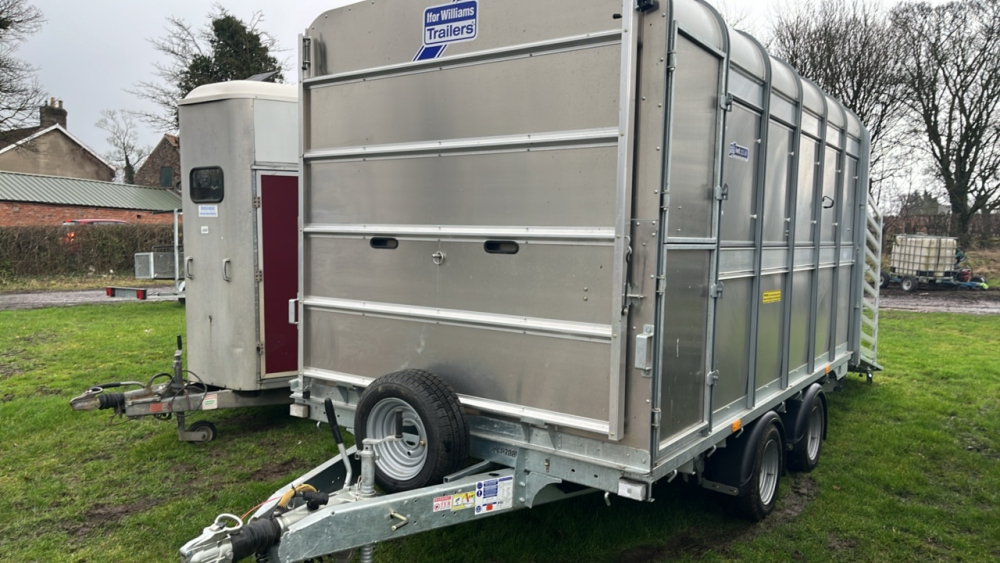 Ifor Williams DP120 12ft livestock trailer with sheep decks and 3 ...