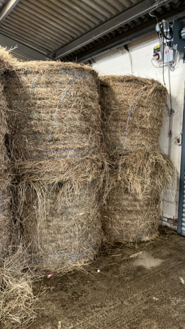8 round bales of 2023 season hay, collect from York Auction Centre