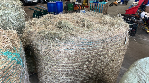 5 5ft round bales of 2023 season hay, collect YO19 6EL