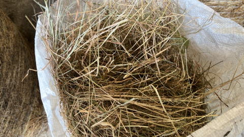 10 4x4 round bale 2023 hay (fine grasses well got) any class of stock, especially sheep. Collection HU11