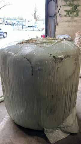 11 barn dried premium horse haylage, well wrapped, 70% dry matter dust free. Collect YO41 1NP