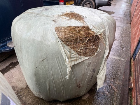 20 wrapped silage bales, collection from HU17