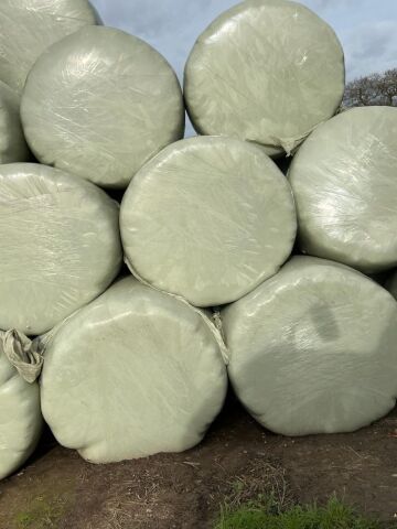 25 4ft round bales haylage, collect YO61
