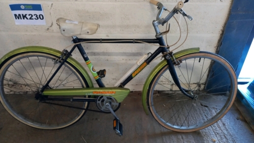 Rally Road Runner bicycle (green)
