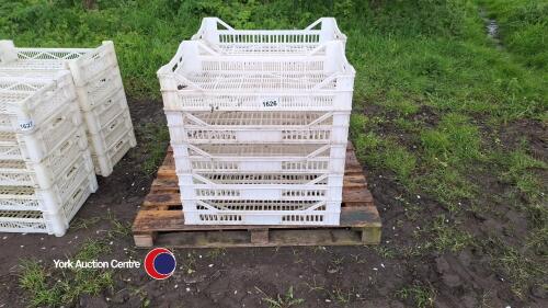10 x plastic plant trays