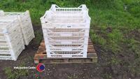 10 x plastic plant trays