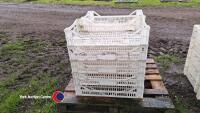 10 x plastic plant trays - 3