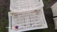 10 x plastic plant trays - 4