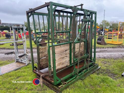 Cattle crush converted for suckled calves