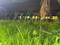 John Deere 328A mower conditioner, 2015 - 7