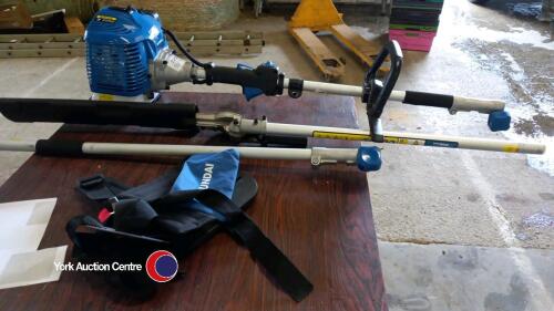 Hyundi petrol extendable hedge trimmer
