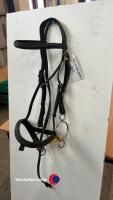 F/S Stubben bridle & bit - 2