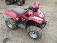 Apache 100cc quad