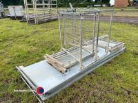 16ft sheep race with guillotine gate and shedder, 2023, as new