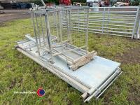 16ft sheep race with guillotine gate and shedder, 2023, as new - 2