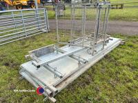 16ft sheep race with guillotine gate and shedder, 2023, as new - 3