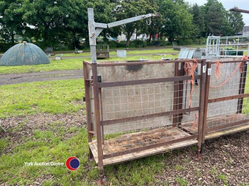 Sheep shearing crate with adjustable legs, will fit together for two shearers or individually