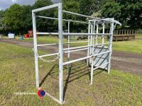 Stand alone galvanised cattle crate with head lock and feed trough - 3