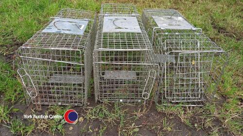 3 x squirrel traps