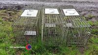 3 x squirrel traps - 2