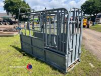 Cattle crush - 2