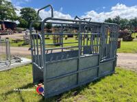 Cattle crush - 3