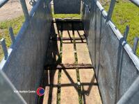 Cattle crush - 5