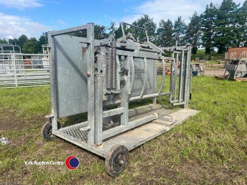 Bateman sheep turnover crate