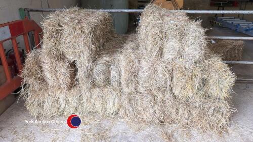 10 x small bales of hay, collect York Auction Centre