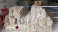 10 x small bales of hay, collect York Auction Centre - 2