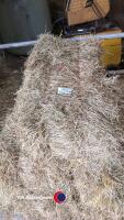 10 x small bales of hay, collect York Auction Centre - 3