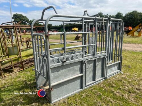 Cattle rush, galvanised