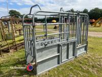 Cattle rush, galvanised