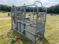 Cattle rush, galvanised - 2