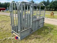 Cattle rush, galvanised - 3