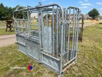 Cattle rush, galvanised - 4