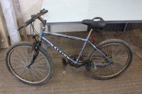 Raleigh Nirvana mountain bike