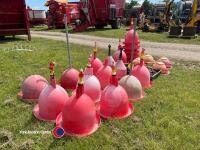 Various chicken drinkers/feeders - 3