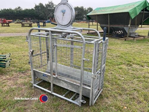 IAE sheep weigh scales