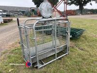 IAE sheep weigh scales - 4