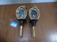 Pair of horse shoe lamps