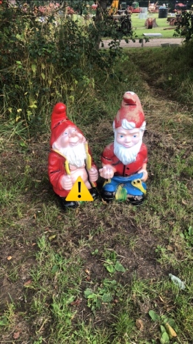 2 Rude garden Gnomes